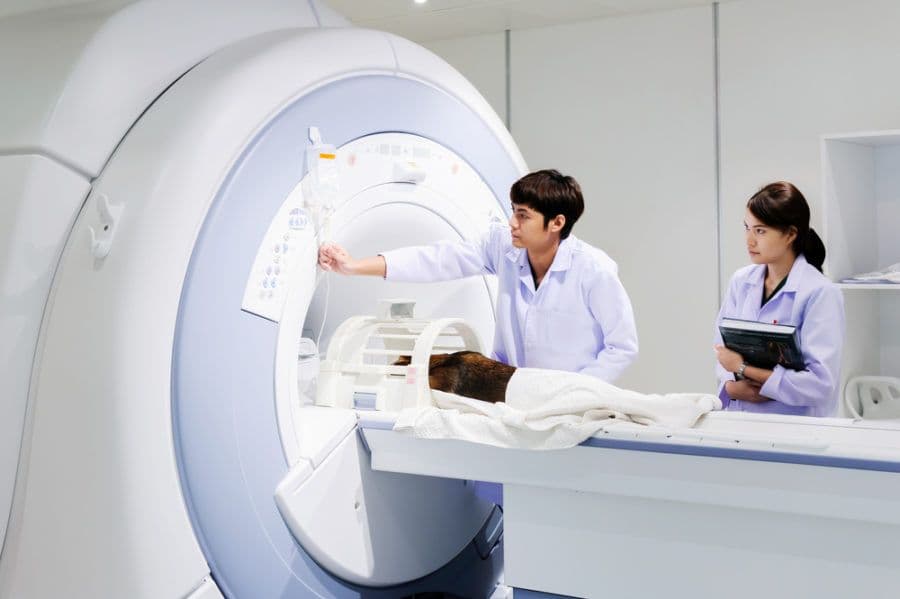 Medical Devices